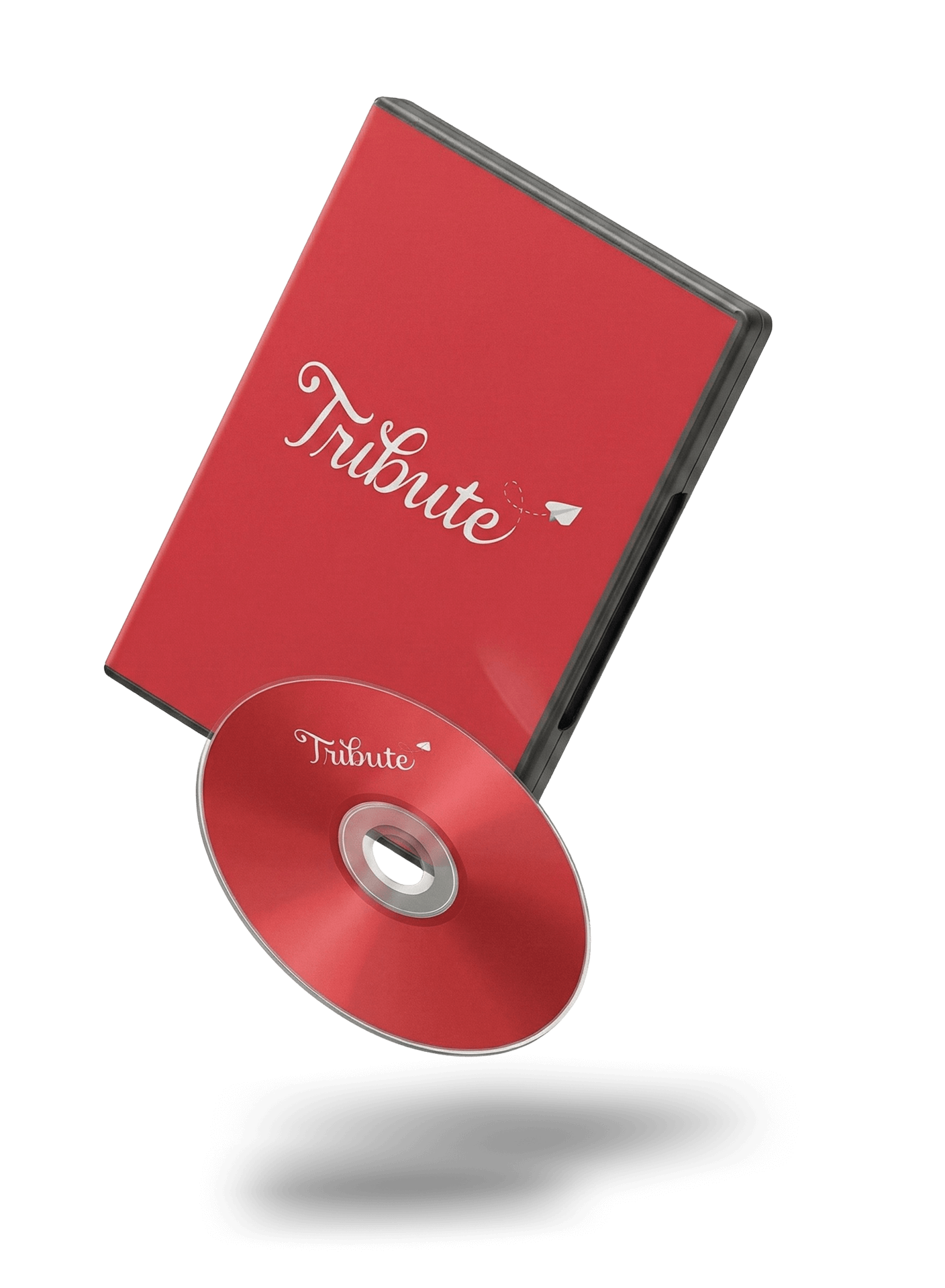 DVD video keepsake option